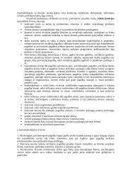 Krizinės šeimos situacijos analizė 4 puslapis