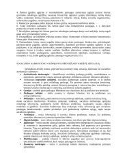 Krizinės šeimos situacijos analizė 5 puslapis