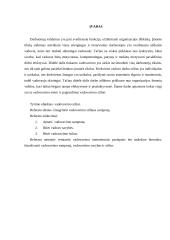 Vadovavimo stiliaus samprata (referatas) 2 puslapis