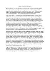 Miesto vaizdavimas literatūroje