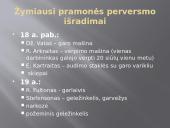 Žymiausi pramonės perversmo išradimai 3 puslapis