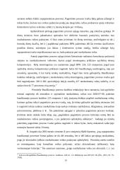 Baudžiamojo proceso trukmė 13 puslapis