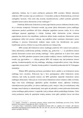 Baudžiamojo proceso trukmė 17 puslapis