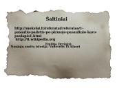 Valstybių veiksmai pasibaigus Pirmajam pasauliniam karui 12 puslapis