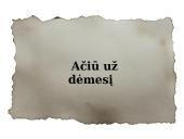 Valstybių veiksmai pasibaigus Pirmajam pasauliniam karui 13 puslapis