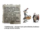 Valstybių veiksmai pasibaigus Pirmajam pasauliniam karui 8 puslapis