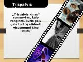 Kinas Lietuvoje 15 puslapis