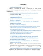 Socialinės atsakomybės principų diegimo nauda verslui 16 puslapis