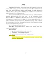 Socialinės atsakomybės principų diegimo nauda verslui 2 puslapis