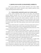 Socialinės atsakomybės principų diegimo nauda verslui 3 puslapis