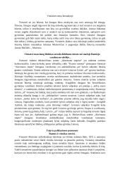 Vienatvės tema literatūroje (rašinys)