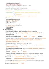 Kontrolinė užduotis: gyvenviečių geografija 2 puslapis