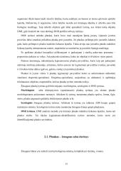 Kriminalistinis žmogaus plaukų tyrimas: galimybės ir praktika Lietuvoje  14 puslapis