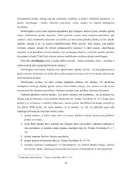 Kriminalistinis žmogaus plaukų tyrimas: galimybės ir praktika Lietuvoje  19 puslapis