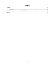 Tikslinė rinka ir segmentacijos strategija: treniruokliai "SportTech"