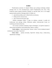 Tikslinė rinka ir segmentacijos strategija: treniruokliai "SportTech" 2 puslapis