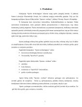 Tikslinė rinka ir segmentacijos strategija: treniruokliai "SportTech" 3 puslapis