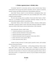 Tikslinė rinka ir segmentacijos strategija: treniruokliai "SportTech" 4 puslapis