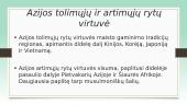 Azijos šalių patiekalai 3 puslapis