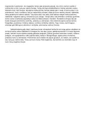 Atmintis: kodėl žmoguje gyva tai, ko jau nebėra? 2 puslapis