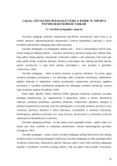 Socialinio pedagogo veiklos su smurtą šeimoje patyrusiais vaikais ypatybės  15 puslapis