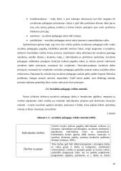 Socialinio pedagogo veiklos su smurtą šeimoje patyrusiais vaikais ypatybės  19 puslapis