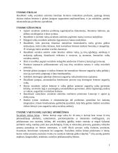 Tyrimo planas: Vaikų socialinės atskirties bendrojo lavinimo mokyklose priežastys 2 puslapis