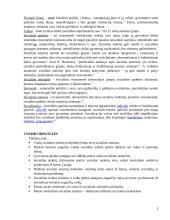 Tyrimo planas: Vaikų socialinės atskirties bendrojo lavinimo mokyklose priežastys 3 puslapis