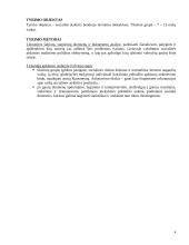 Tyrimo planas: Vaikų socialinės atskirties bendrojo lavinimo mokyklose priežastys 4 puslapis