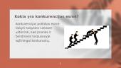 Konkurencija Lietuvos grožio paslaugų rinkoje 4 puslapis