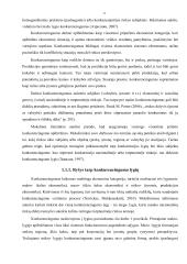 Mokesčių įtaka verslo konkurencingumui, padėtis Lietuvoje  9 puslapis