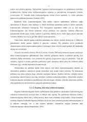 Mokesčių įtaka verslo konkurencingumui, padėtis Lietuvoje  11 puslapis