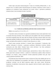 Mokesčių įtaka verslo konkurencingumui, padėtis Lietuvoje  16 puslapis