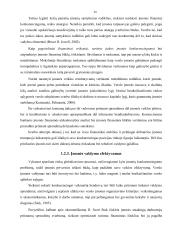 Mokesčių įtaka verslo konkurencingumui, padėtis Lietuvoje  18 puslapis