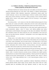 Mokesčių įtaka verslo konkurencingumui, padėtis Lietuvoje  20 puslapis