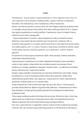 Transplantacijos pradžia Europoje 2 puslapis