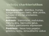 Juozas Aputis. Jo kūryba 3 puslapis