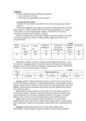 Transporto priemonių medžiagos 2 puslapis