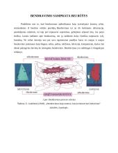 Žodinis bendravimas ir jo ypatumai 3 puslapis