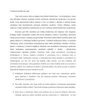 Žodinis bendravimas ir jo ypatumai 4 puslapis