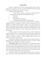 Trumpalaikio turto auditas 2 puslapis