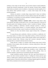 Trumpalaikio turto auditas 3 puslapis