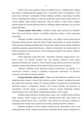 Trumpalaikio turto auditas 4 puslapis