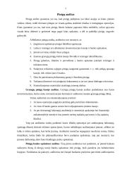 Trumpalaikio turto auditas 6 puslapis