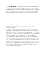 Turistinės kelionės aprašymas: Praha-Paryžius-Eurodisneilendas-Amsterdamas-Berlynas 18 puslapis