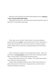 Turistinės kelionės aprašymas: Praha-Paryžius-Eurodisneilendas-Amsterdamas-Berlynas 20 puslapis