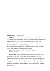 Turistinės kelionės aprašymas: Praha-Paryžius-Eurodisneilendas-Amsterdamas-Berlynas 6 puslapis