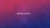Virusai (skaidrės informatikai) 2 puslapis