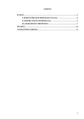 Turistinis maršrutas: Italija 2 puslapis