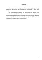 Turistinis maršrutas: Italija 14 puslapis